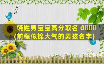 饶姓男宝宝高分取名 🐟 (前程似锦大气的男孩名字)
